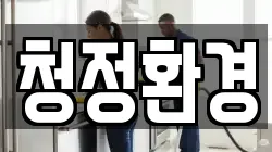 청정환경