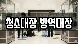 청소대장 방역대장