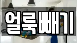얼룩빼기