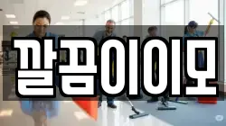 깔끔이이모