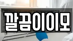 깔끔이이모