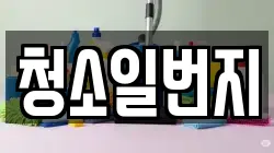 청소일번지