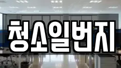 청소일번지