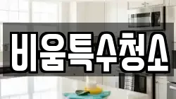 비움특수청소
