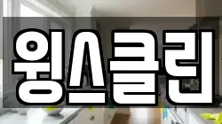 윙스클린