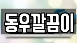 동우깔끔이