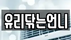 유리닦는언니