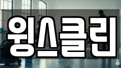 윙스클린