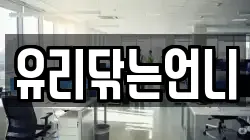유리닦는언니