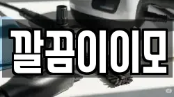 깔끔이이모