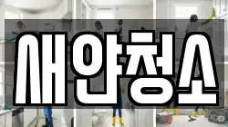 새얀청소