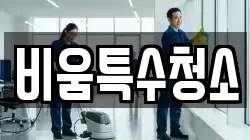 비움특수청소