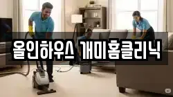 올인하우스 개미홈클리닉