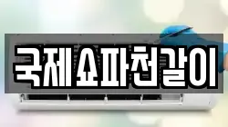 국제쇼파천갈이
