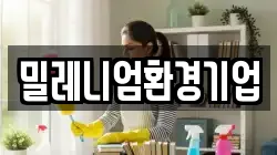 밀레니엄환경기업