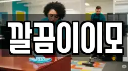 깔끔이이모