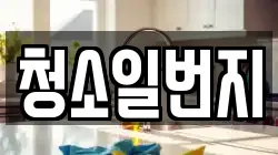 청소일번지