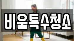 비움특수청소