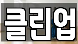 클린업