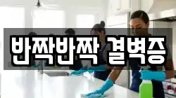 반짝반짝 결벽증