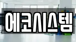 에코시스템