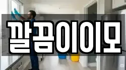 깔끔이이모