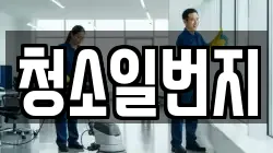 청소일번지