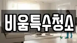 비움특수청소