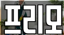 프리모