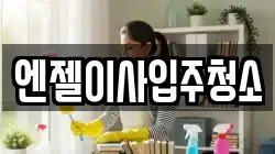 엔젤이사입주청소