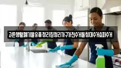 고른생활폐기물유품정리집정리가구가전수거돌침대수거쇼파수거