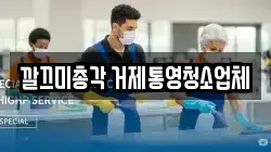 경상남도 거제시 문동동 청소,입주청소,사무실청소,에어컨청소,특수청소,상가청소,거주청소,유품정리
