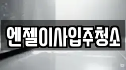 엔젤이사입주청소