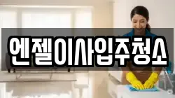 엔젤이사입주청소
