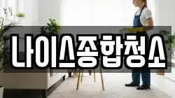 나이스종합청소