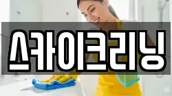 스카이크리닝