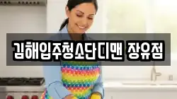 김해입주청소단디맨 장유점