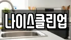 나이스클린업