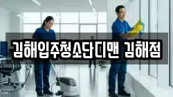 김해입주청소단디맨 김해점