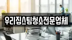 우리집스팀청소전문업체