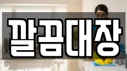 깔끔대장