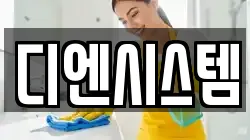디엔시스템