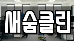 새숨클린