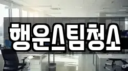 행운스팀청소