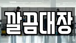 깔끔대장