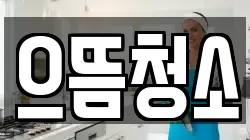 으뜸청소