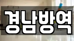 경남방역