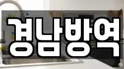 경남방역