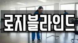로지블라인드
