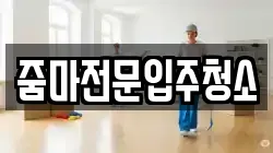 줌마전문입주청소